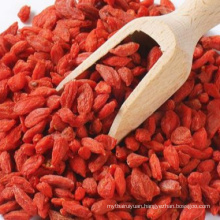 Dark Red Goji Berry